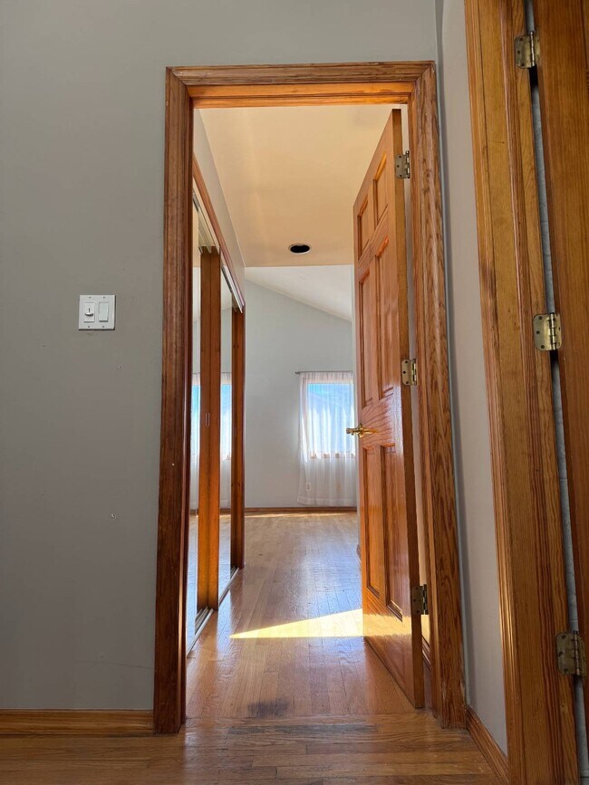 Photo - 6 Albergo Ct