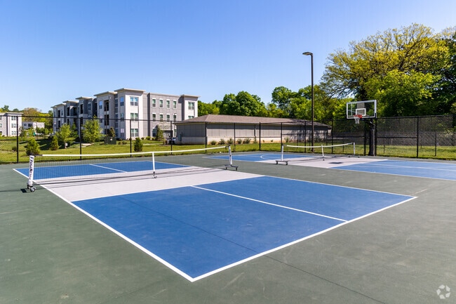 Pickleball Court
