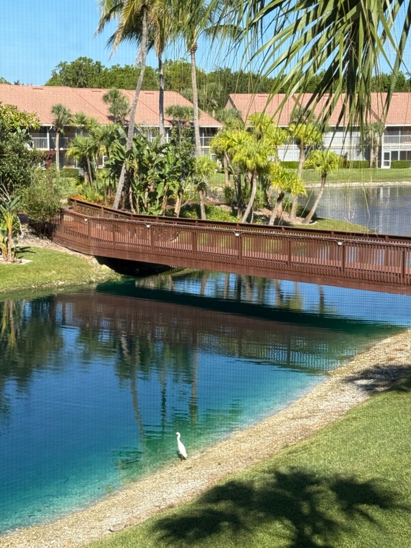 Photo - 1635 Windy Pines Dr