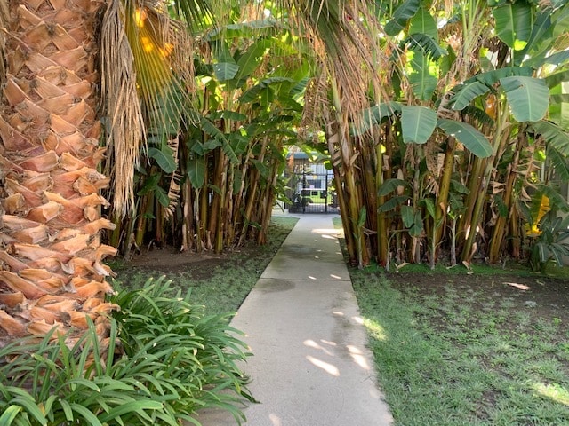 11933 Courtyard