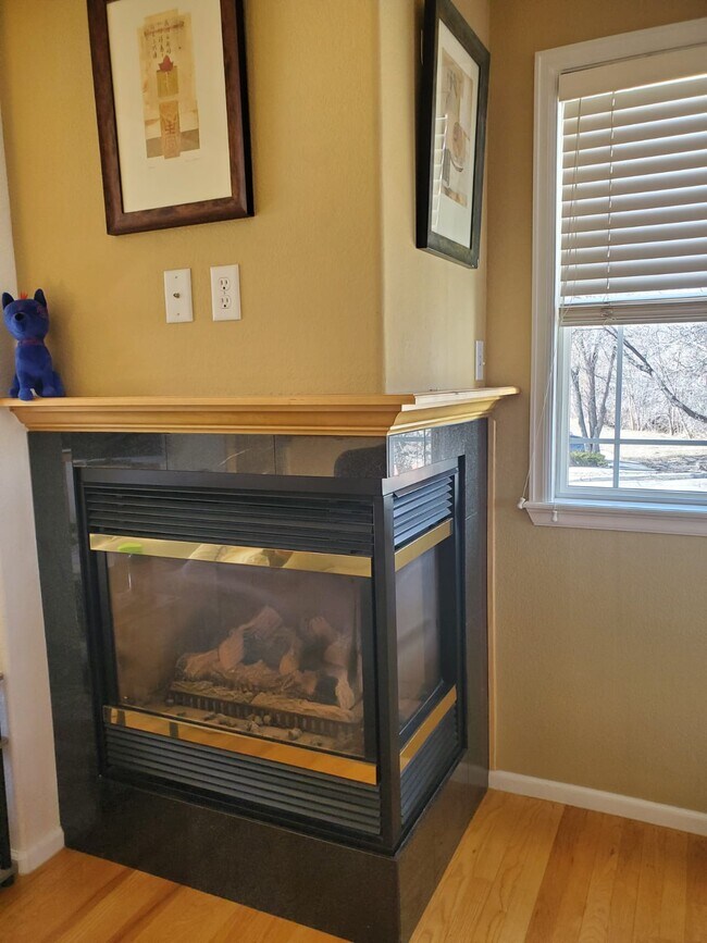 Fireplace in center of main floor - 4903 Noble Park Pl