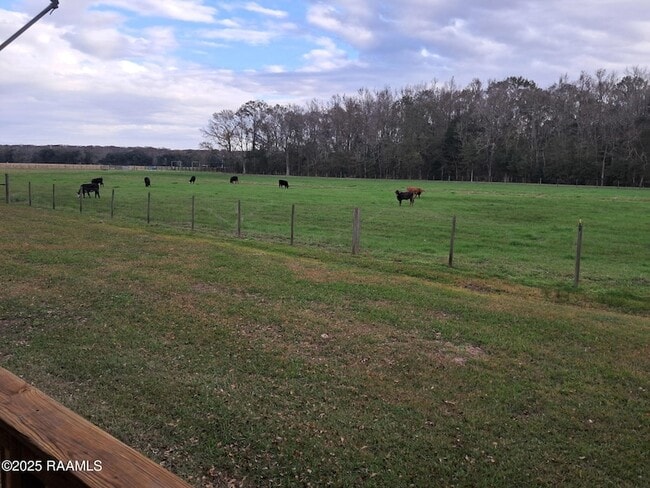 Photo - 11330 Audubon Rd