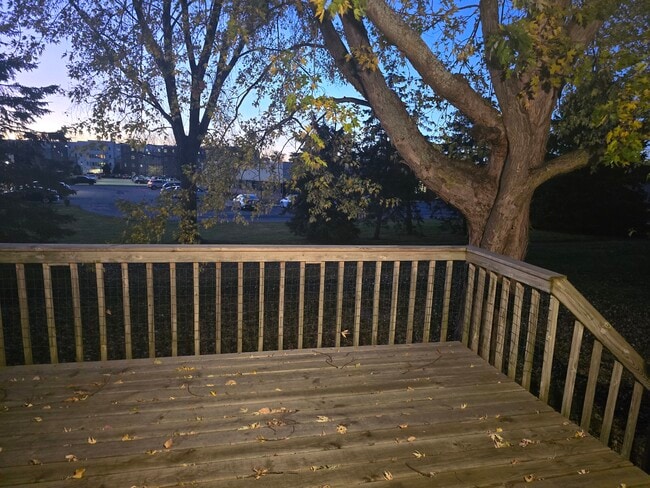 Photo - 2231 Cloudview Ct