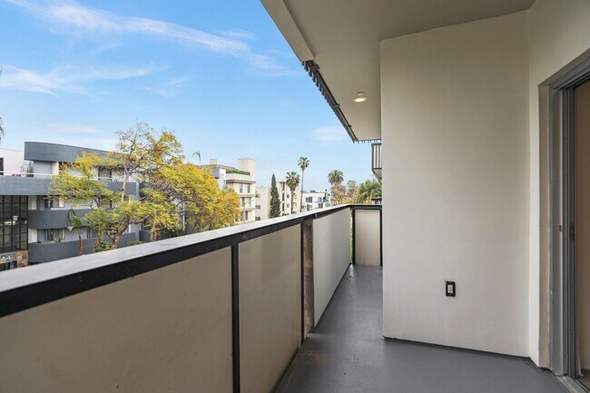 Photo - Poinsettia Sunset by Wiseman