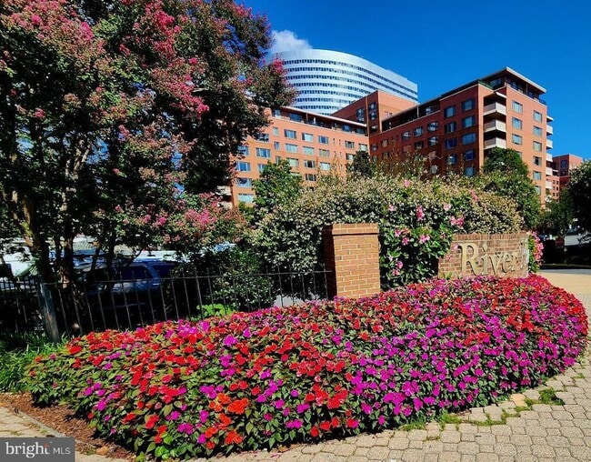 Building Photo - 1121 Arlington Blvd Unit 928 Rental