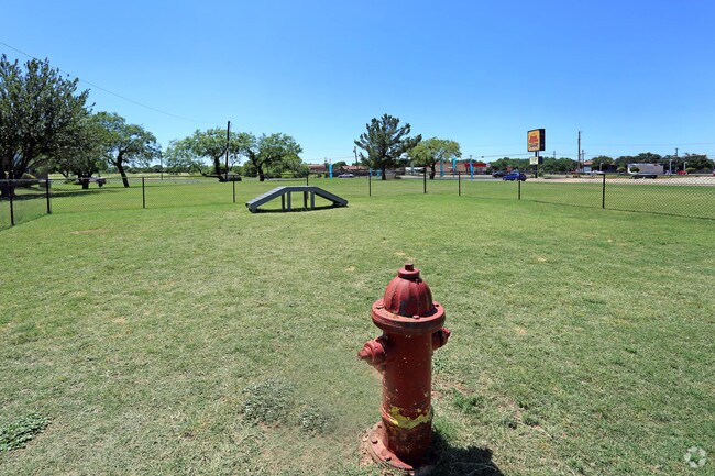 Dog Park
