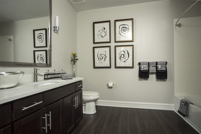 Spa Sized Bathrooms