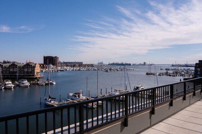 Elms Fells Point
