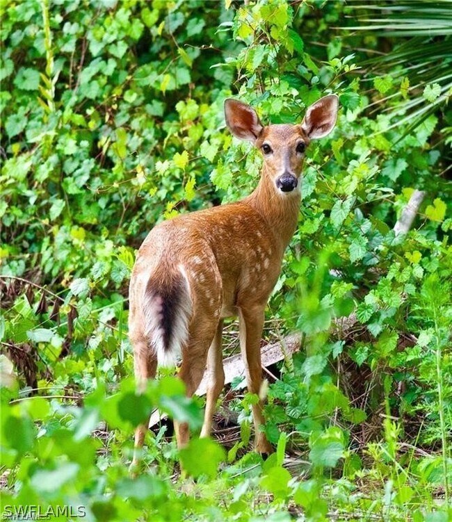 Photo - 3650 1st Ave SW