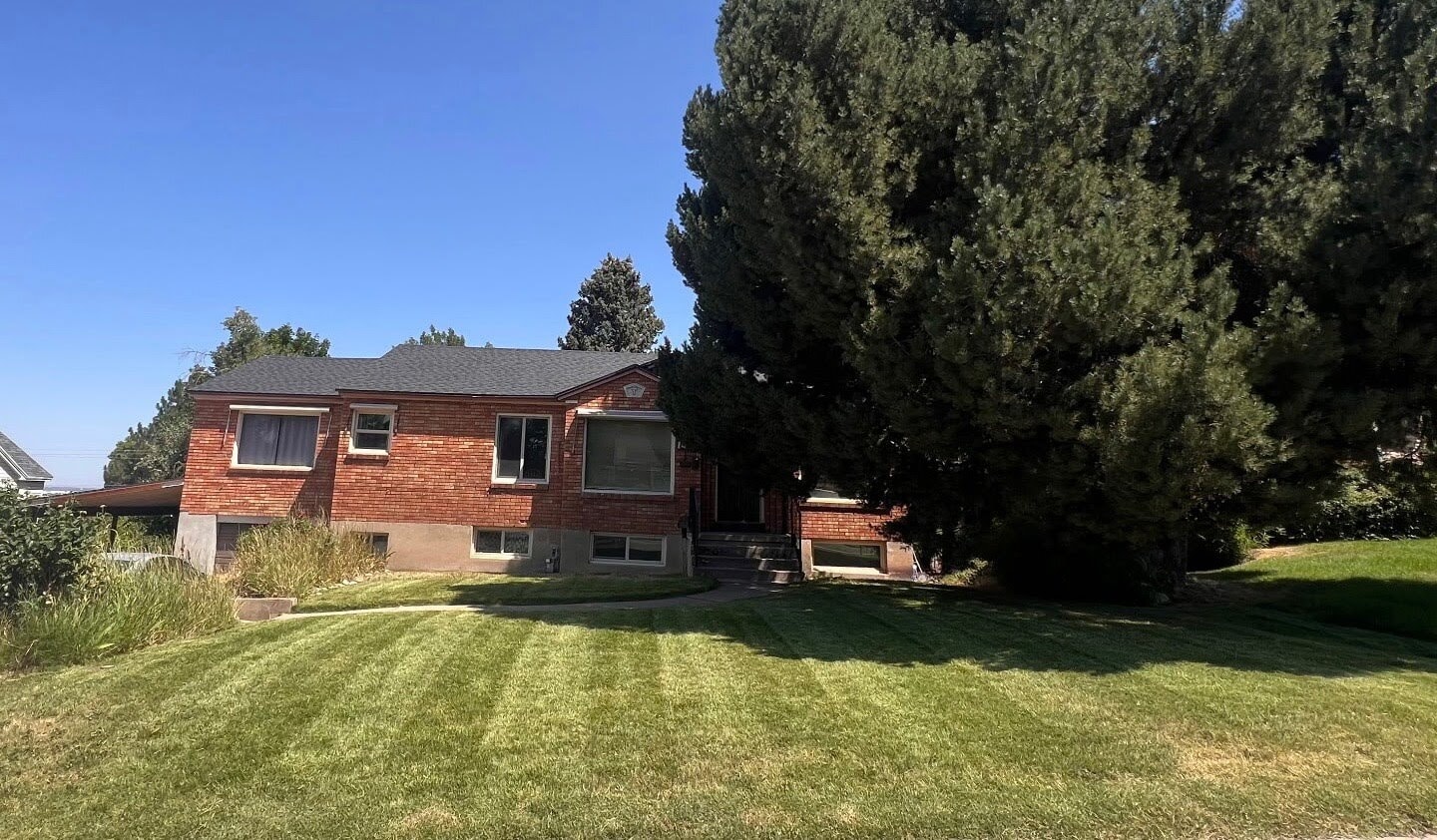 Walk to WSU! - Walk to WSU! Apartment
