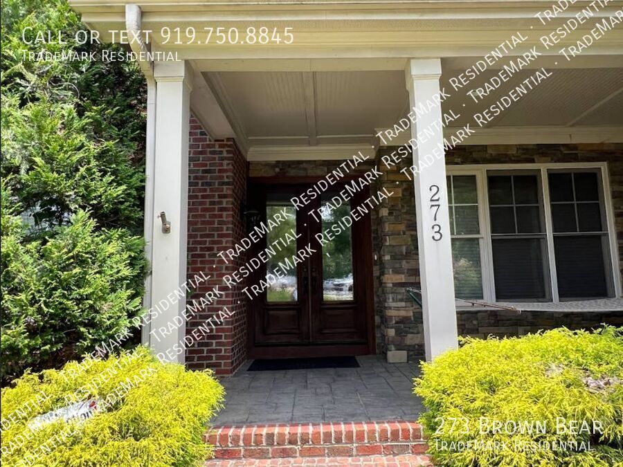 Photo - 273 Brown Bear