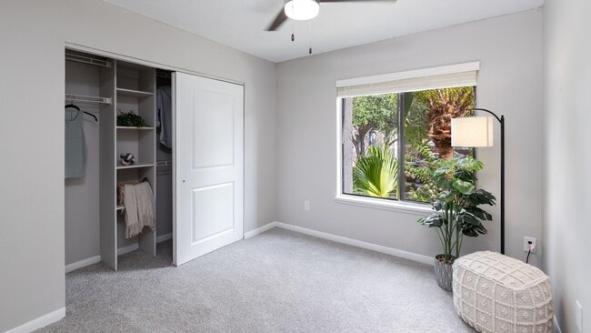 Bedrooms featuring plush carpeting, large windows, and a generous closet with built-in shelving for easy organization.