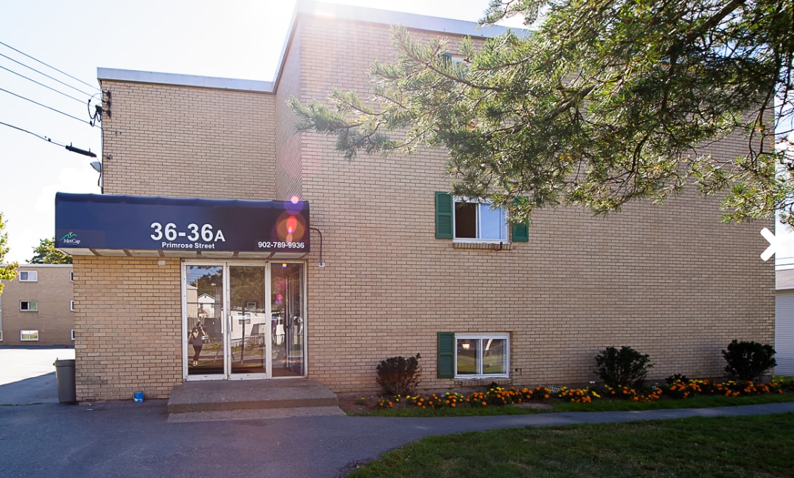 81 Primrose St - 81 Primrose St
