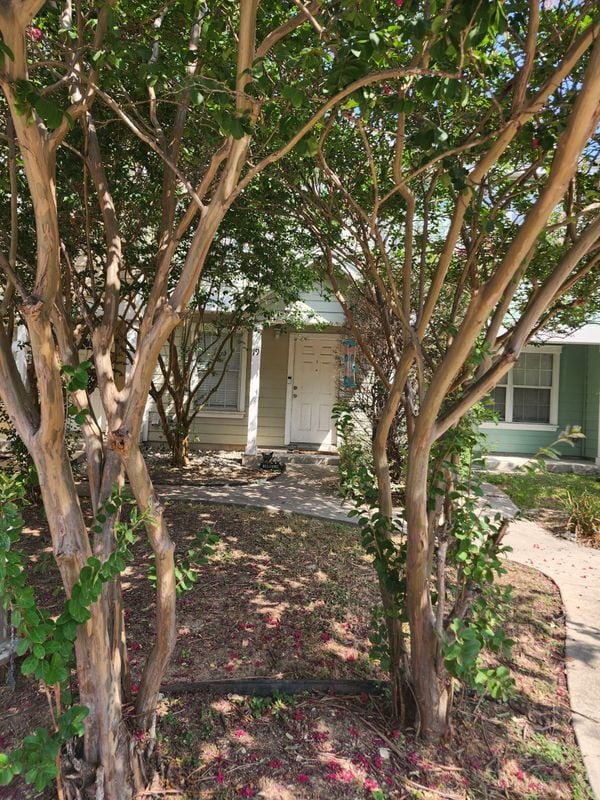 Photo - 19 Autumn Pass