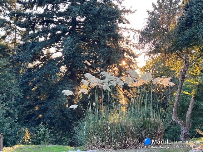 Photo - 4 br, 2 bath House - 16021 21st Ave SW