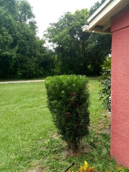 Photo - 509 E Magnolia St