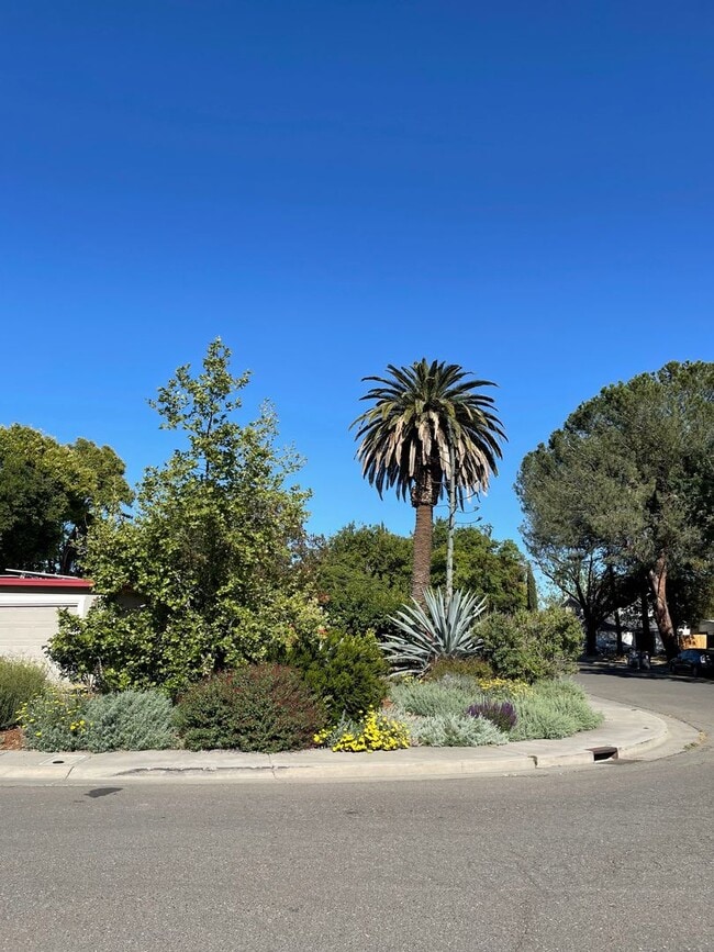 Photo - WELL MAINTAINED SINGLE STORY HOME WITH SOLAR PANELS