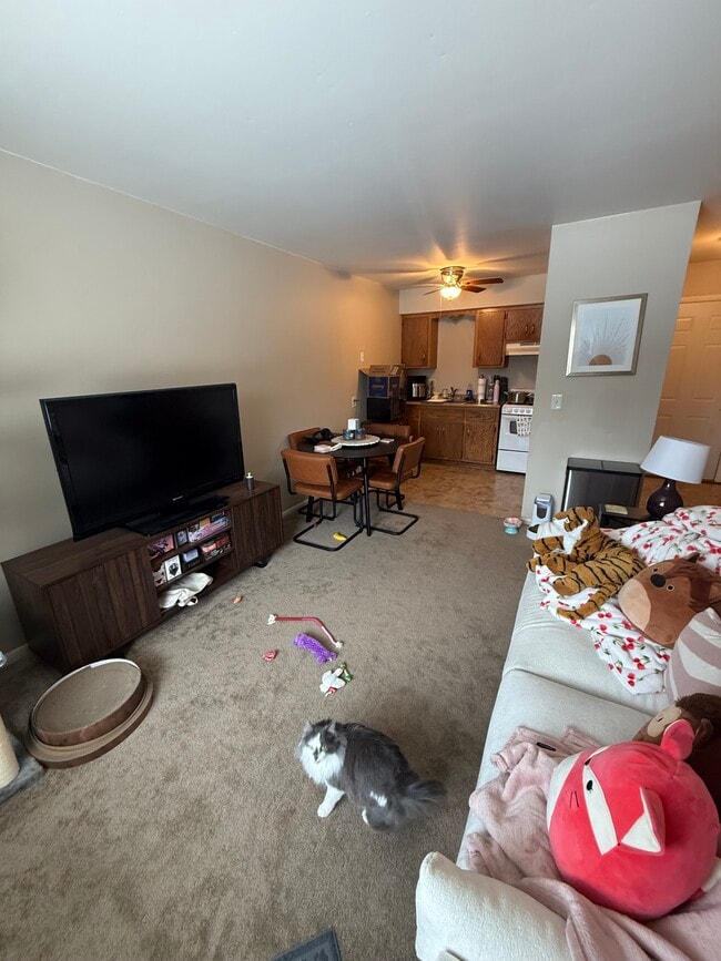 Living Room - River Park Apartments