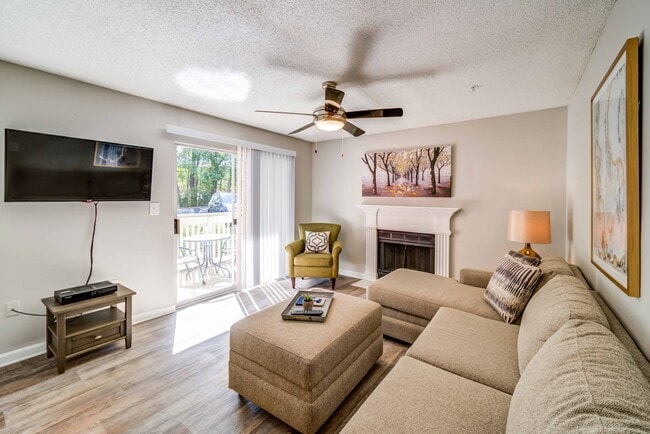 Photo - Autumn Woods