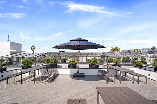 Ecco Lexington – Apartments & Co-Living
