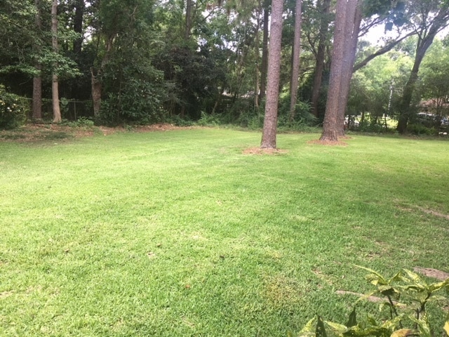 Building Photo - Edgewood Place subd. West Mobile 3/2 Large... Rental
