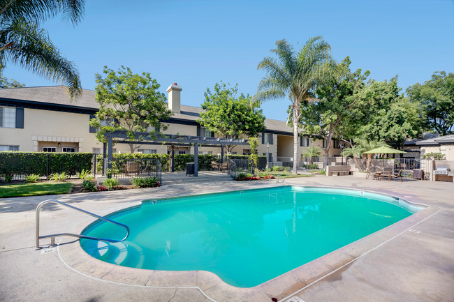 Briarwood Square Apartment Homes - Briarwood Square Apartment Homes