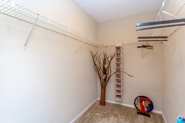 2BR, 2BA - Bradley