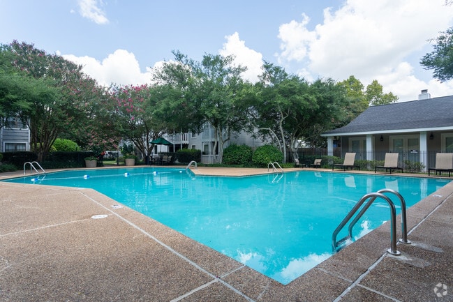 Swimming Pool 2