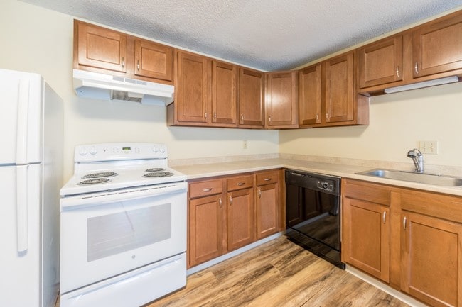 Photo - Princeton Pines