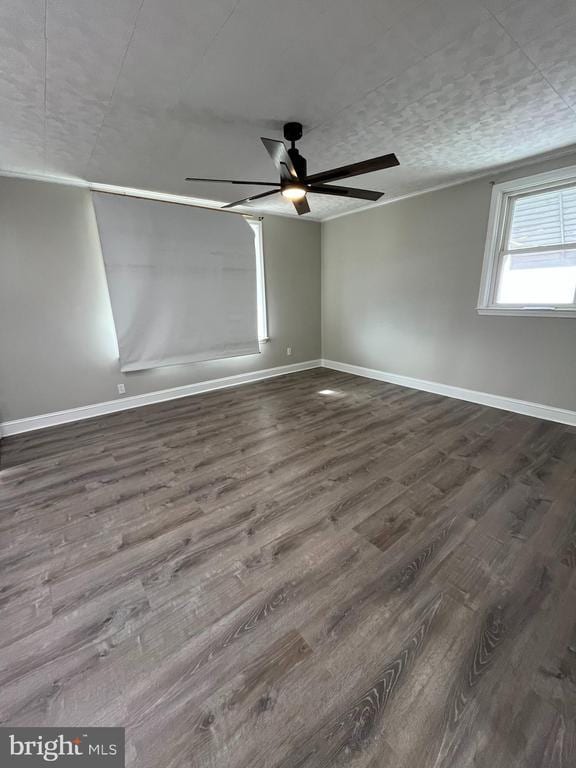 Photo - 1113 E Hunting Park Ave