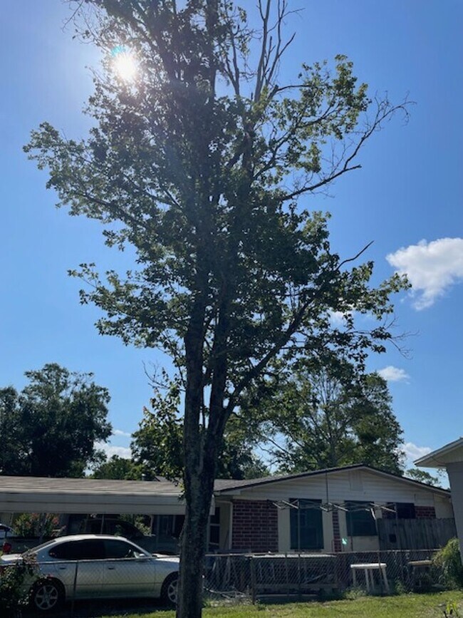 Photo - Beautiful 2-1