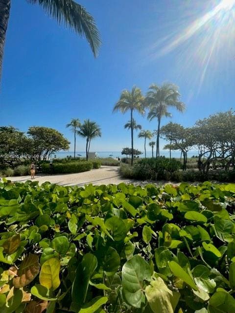 Building Photo - 10275 Collins Ave Unit 201