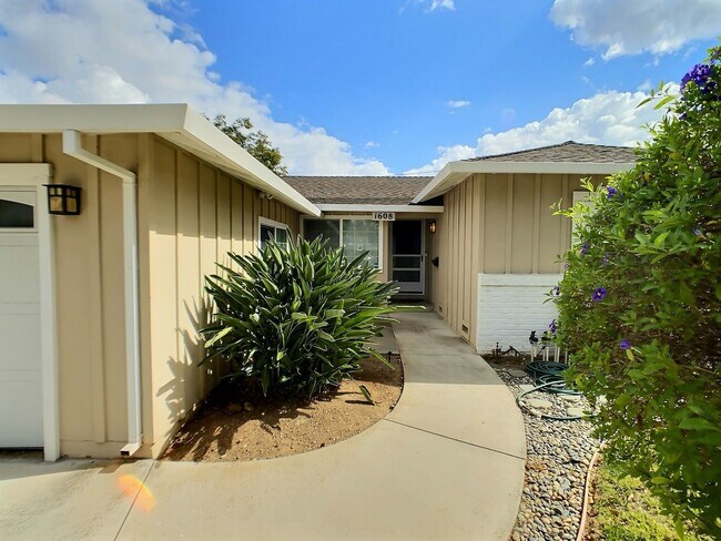 Photo - 4 Bedroom House a Block from Lietz Element...