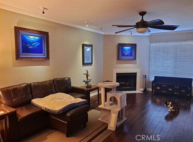 Photo - 699 Ascot Dr