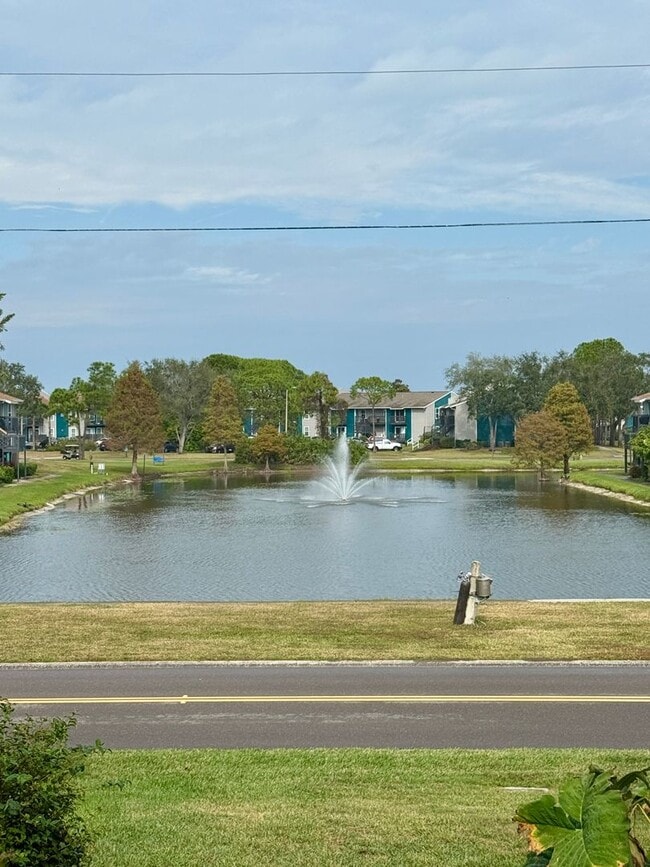 Photo - NORTH ST. PETE - locaiton location 2/2