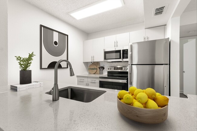 Modern Kitchen