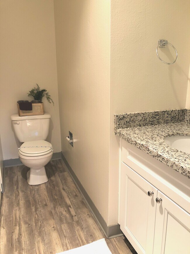 half bath in master bedroom