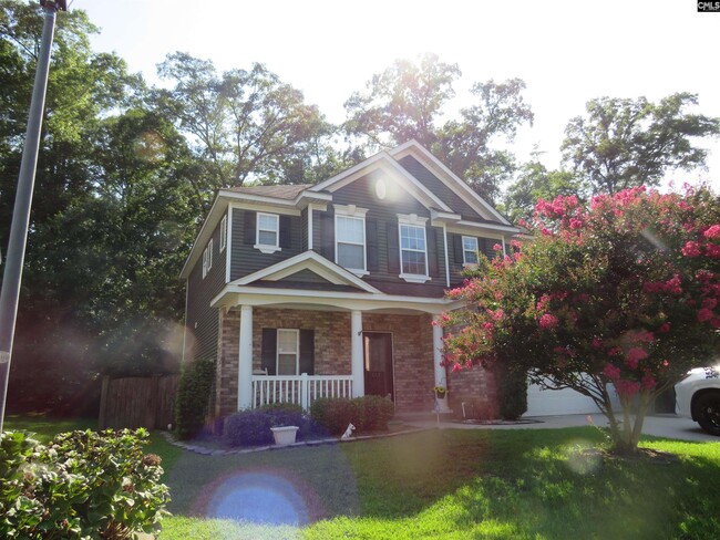 Photo - 217 Creek Branch Dr