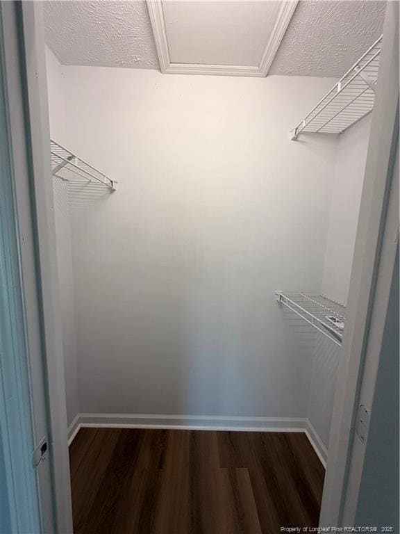 173 Centipede Ln