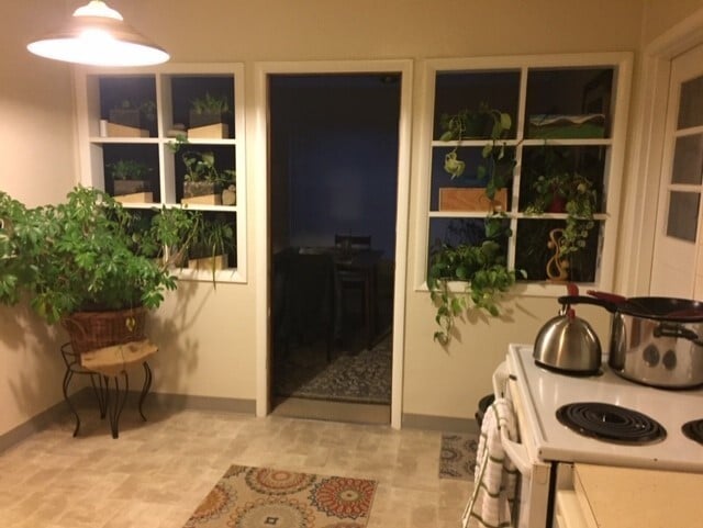 Photo - Classic Northgate Rambler