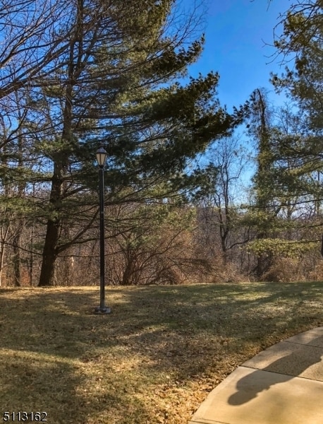 Photo - 25 Stevens Ct