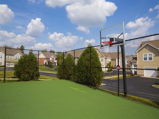 Half Court Basketball