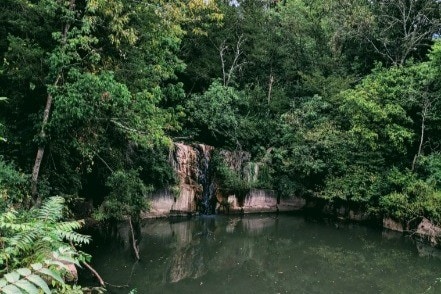 Cascada - Goldelm at Cedar Bluff