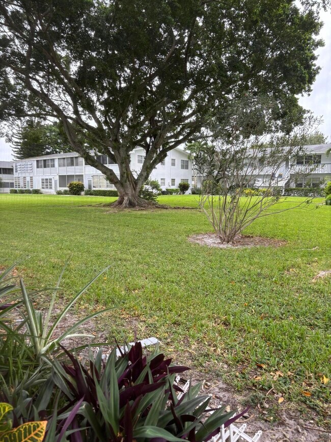 Photo - 80 Canterbury D