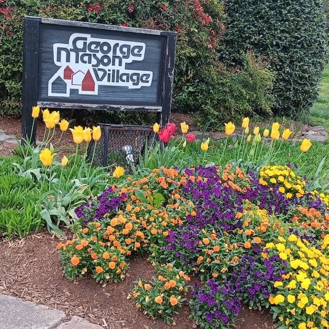 Building Photo - 1510 S George Mason Dr Unit 23