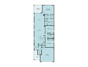 Plano de planta de Orange Blossom