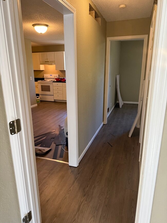 Hallway - 2313 Roma Ln