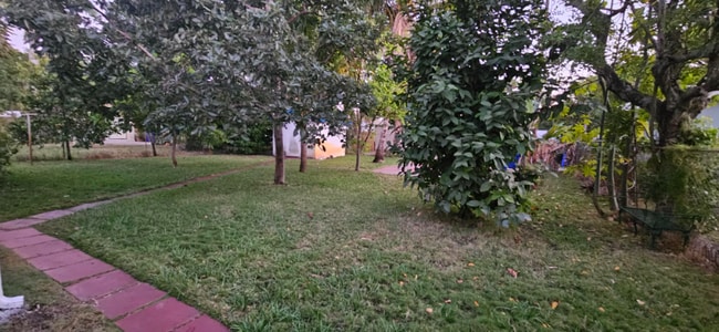 Photo - 1948 Roosevelt St