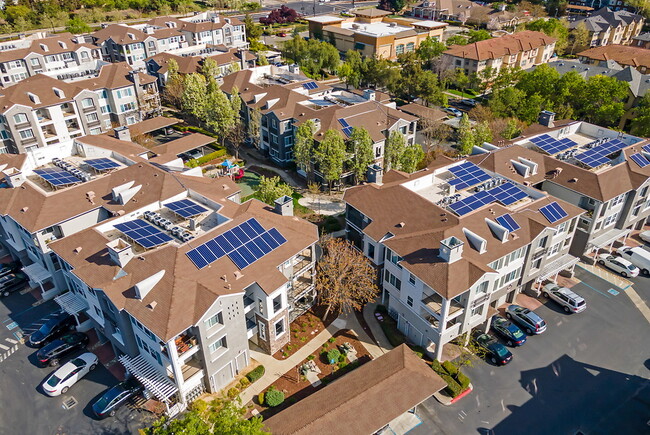 Photo - Canyon Oaks at Windemere Apartments