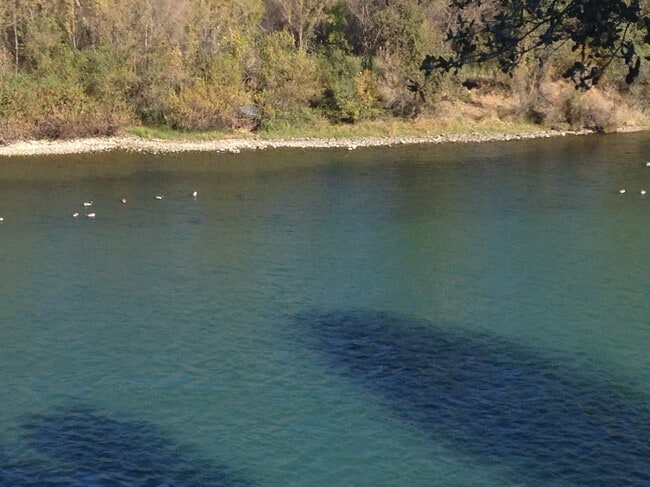 Photo - 1046 Continental St Unit 0